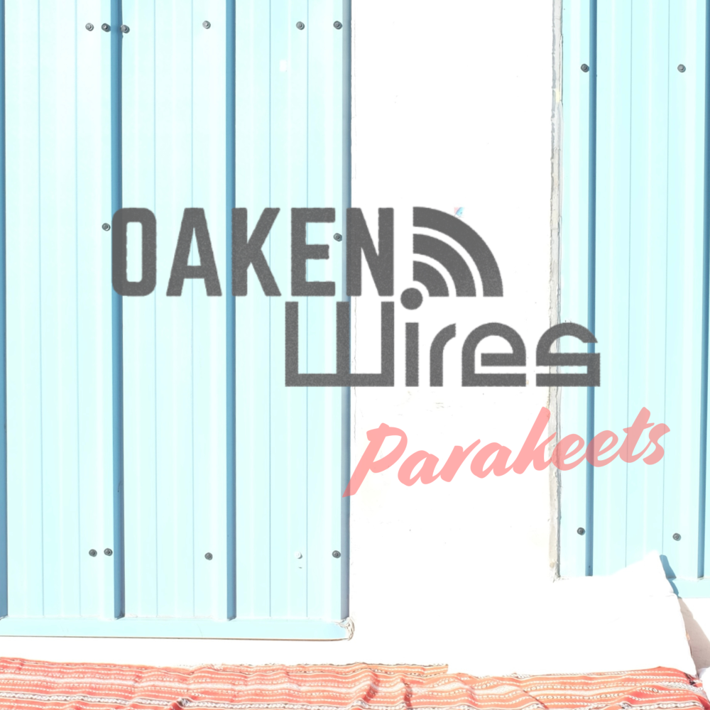 "Parakeets" Proves Oaken Wires Can Thrive in Any Storm